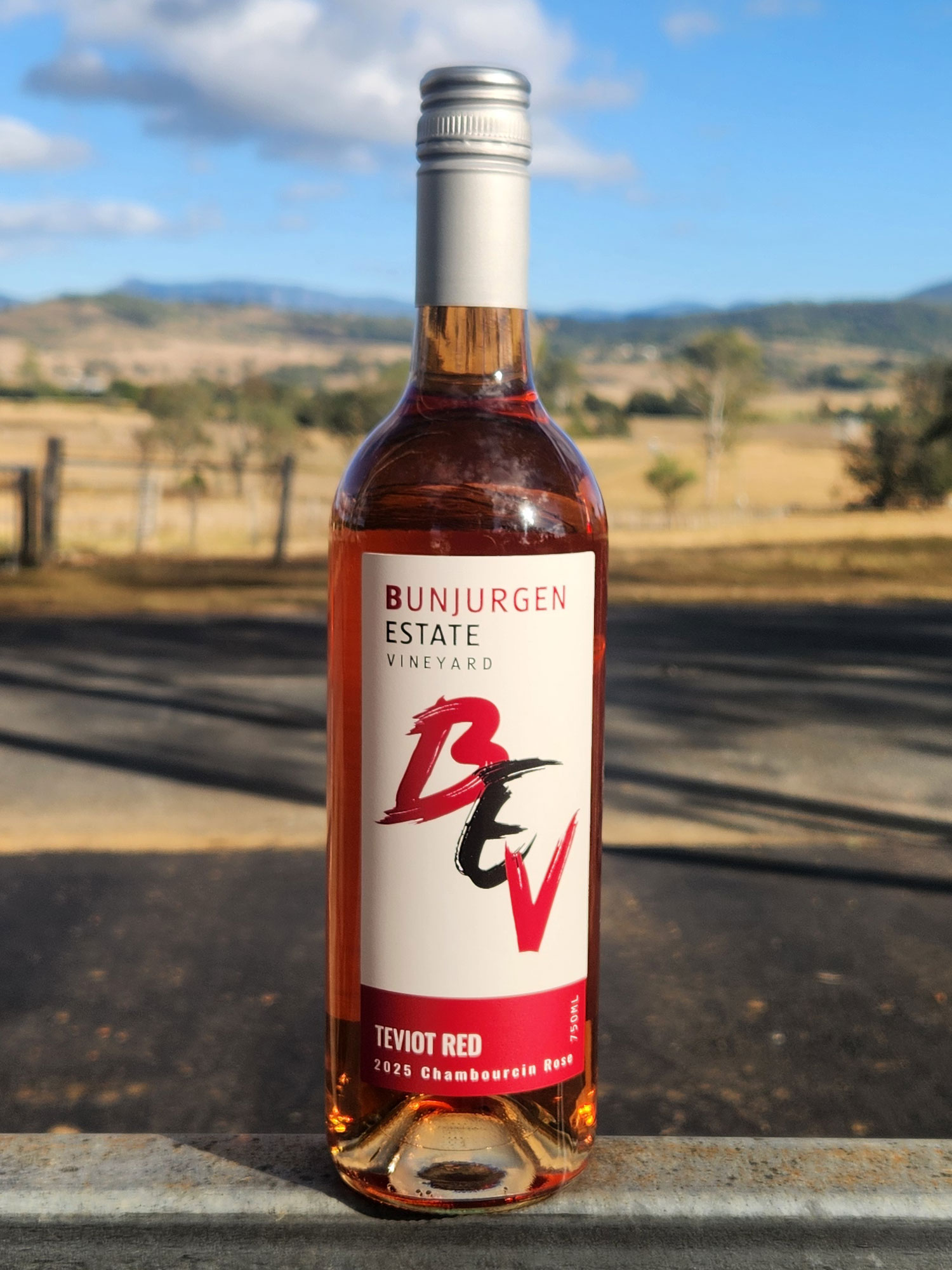 2025 Chambourcin Rose