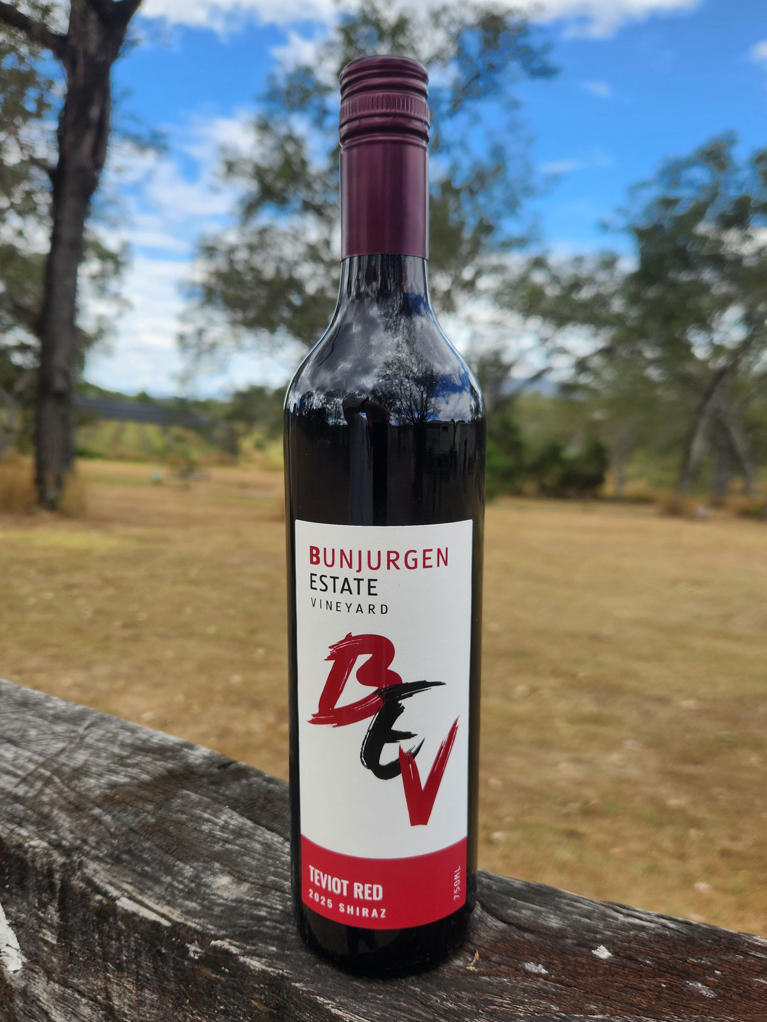 2025 Teviot Shiraz